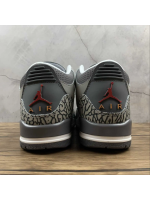 AJ 3 Silver Sport