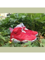 Jordan 6 Slam Dunk