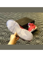 AJ6 dunk master old section