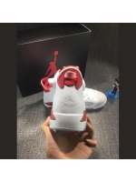 Jordan 6 rabbit pachyderm
