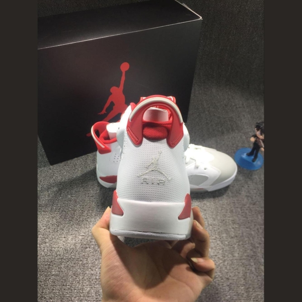 Jordan 6 rabbit pachyderm