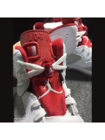 Jordan 6 rabbit pachyderm