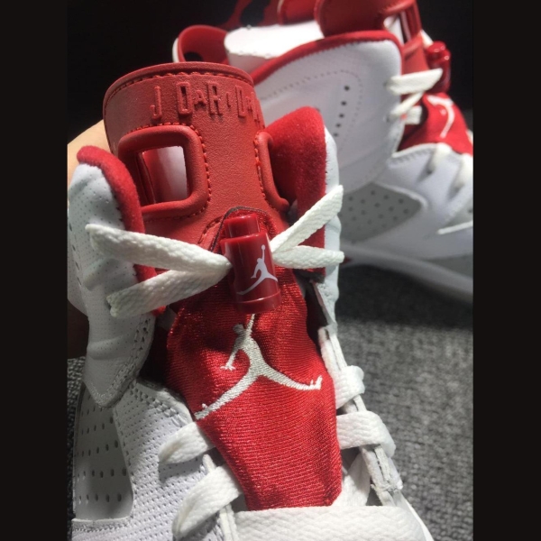 Jordan 6 rabbit pachyderm