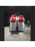 Jordan 6 rabbit pachyderm
