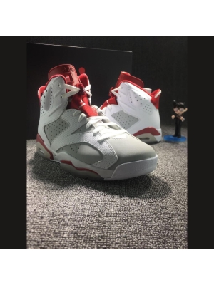 Jordan 6 rabbit pachyderm